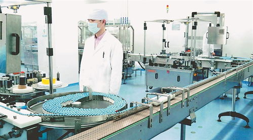 穩經濟 促發展 強信心丨珍寶島藥業 智慧工廠驅動‘智’造升級，信息系統集成服務賦能產業未來